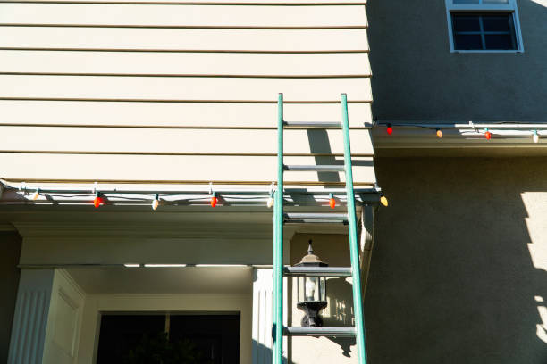 Best Siding Painting and Refinishing  in Mclendon Chisholm, TX